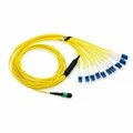 Swe-Tech 3C Plenum Fiber Optic Cable, 100 Gigabit Ethernet CFP/CXP 100GBase-SR10 to MTPMPO/LC 10 Duplex LC FWTMPLC-22015